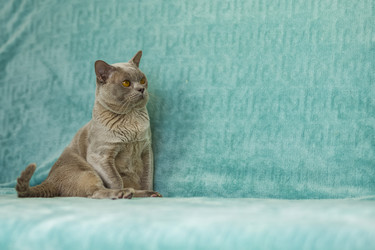 Similar image 21508985