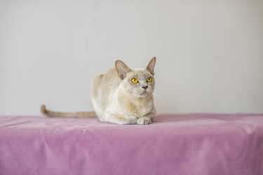 Similar image 21508986