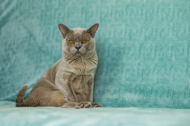 Similar image 21508987