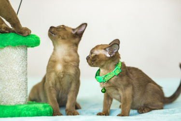 Similar image 21508998