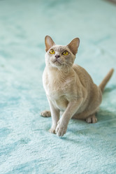 Similar image 21508999