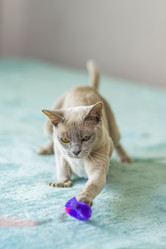 Similar image 21509003