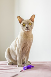 Similar image 21509006