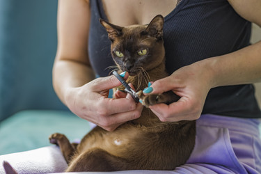 Similar image 21509155