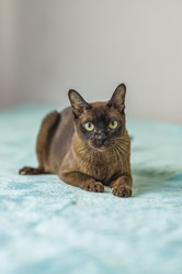 Similar image 21509157