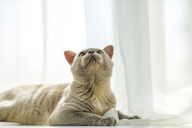 Similar image 21508829