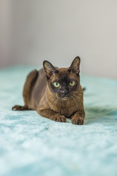 Similar image 21508830