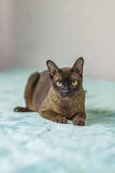 Similar image 21508832