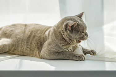 Similar image 21508833