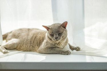 Similar image 21508834