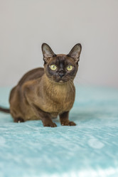 Similar image 21508838