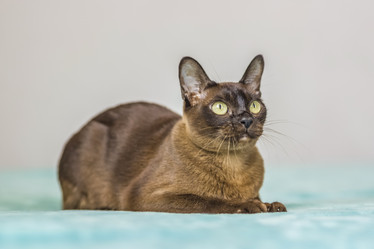 Similar image 21508840