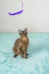 Similar image 21508844