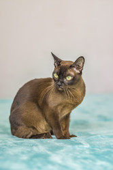 Similar image 21508846