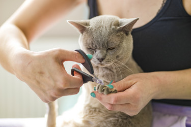 Similar image 21508849