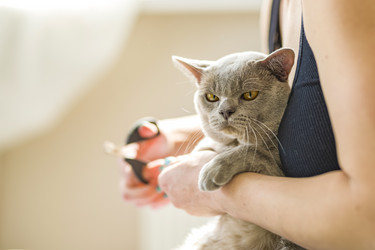 Similar image 21508851