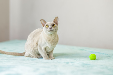 Similar image 21508853