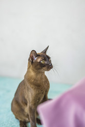 Similar image 21508856