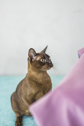 Similar image 21508858