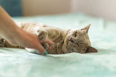 Similar image 21508859