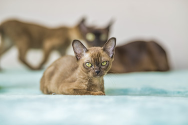 Similar image 21508864