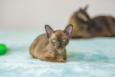 Similar image 21508866