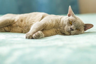 Similar image 21508867