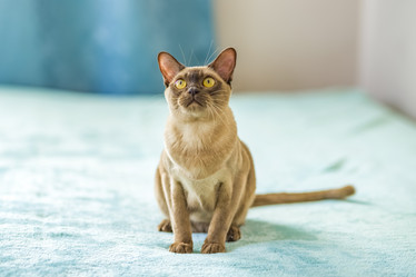 Similar image 21508869