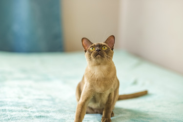 Similar image 21508871