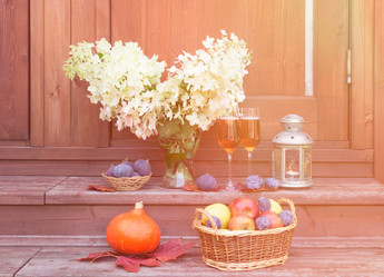 Similar image 21506996