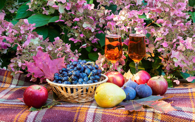 Similar image 21507003