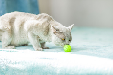 Similar image 21508879