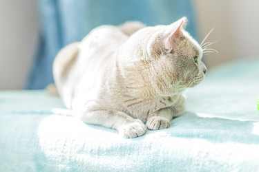 Similar image 21508880