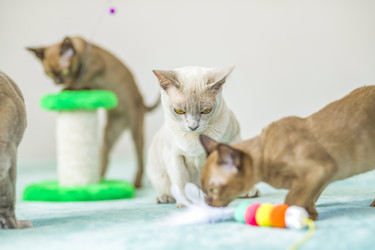 Similar image 21508882