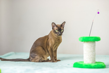 Similar image 21509009