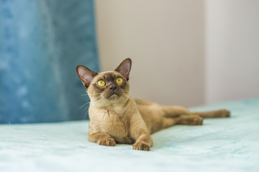 Similar image 21509012