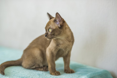 Similar image 21509013