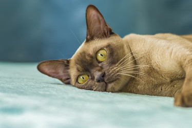 Similar image 21509014