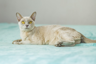 Similar image 21509018