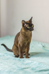 Similar image 21509020