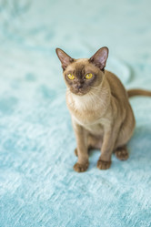 Similar image 21509021