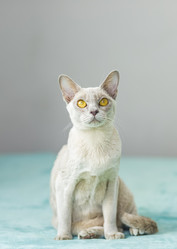 Similar image 21509022