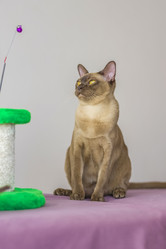 Similar image 21509023