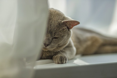 Similar image 21509025