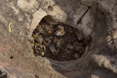 Similar image 21507803