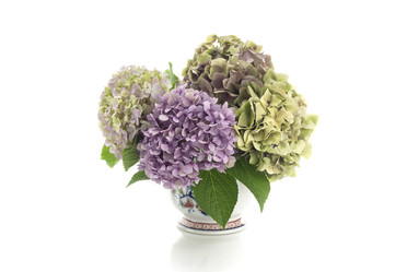 Similar image 21507806