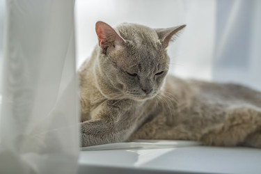 Similar image 21509207