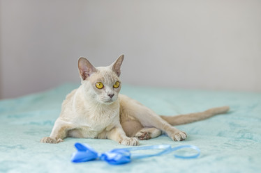 Similar image 21509209