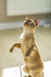 Similar image 21508886