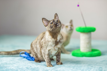 Similar image 21508889